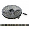 Tira de Led 5050 Blanco Frio 120 led/m