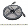 Tira de Led 12v 5050 Blanco Frio 60 led/m IP20