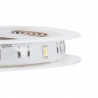 Tira de Led Bluetooth 5050 RGB+W  IP20