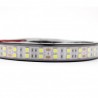Tira Led 5050 Blanco frio 120 led/m IP67