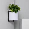 Lámpara de Pared Exterior LED 22cm RGBW