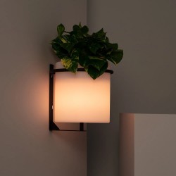 Lámpara de Pared Exterior LED 22cm RGBW