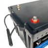 Bateria LiFePo4 36v 100ah Ultimatron