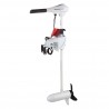 Motor electrico Watersnake Venom 12v 54LB 36"