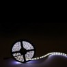 Tira de Led 5050 Blanco Frio 60 led/m