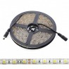 Tira de Led 5050 Blanco Frio 60 led/m