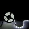 Tira de Led 5630 Blanco Frio 60 led/m