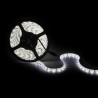 Tira de Led 2835 Blanco Frio 60 led/m