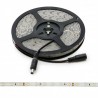 Tira de Led 2835 Blanco Frio 60 led/m