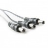 Conector DC Hembra a 3 x DC Macho