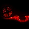 Tira de Led SMD 5050 RGB 60 led/m