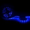 Tira de Led SMD 5050 RGB 60 led/m