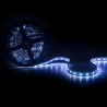 Tira de Led SMD 5050 RGB 60 led/m