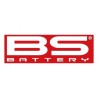 BS Battery